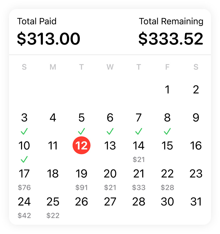 Apple Pay Later calendar